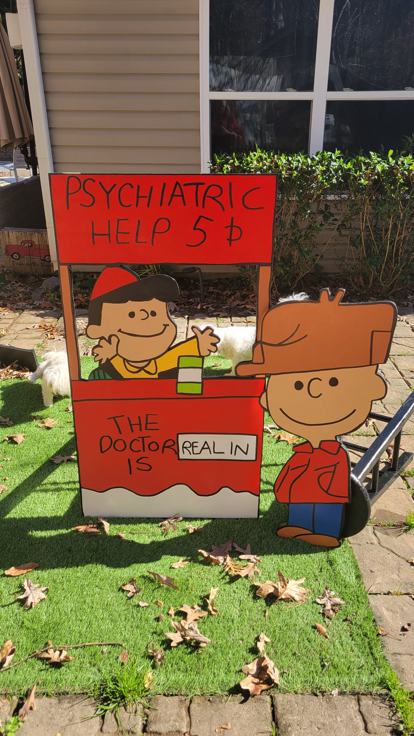 Lucy, the real doctor, is in with Charlie Brown