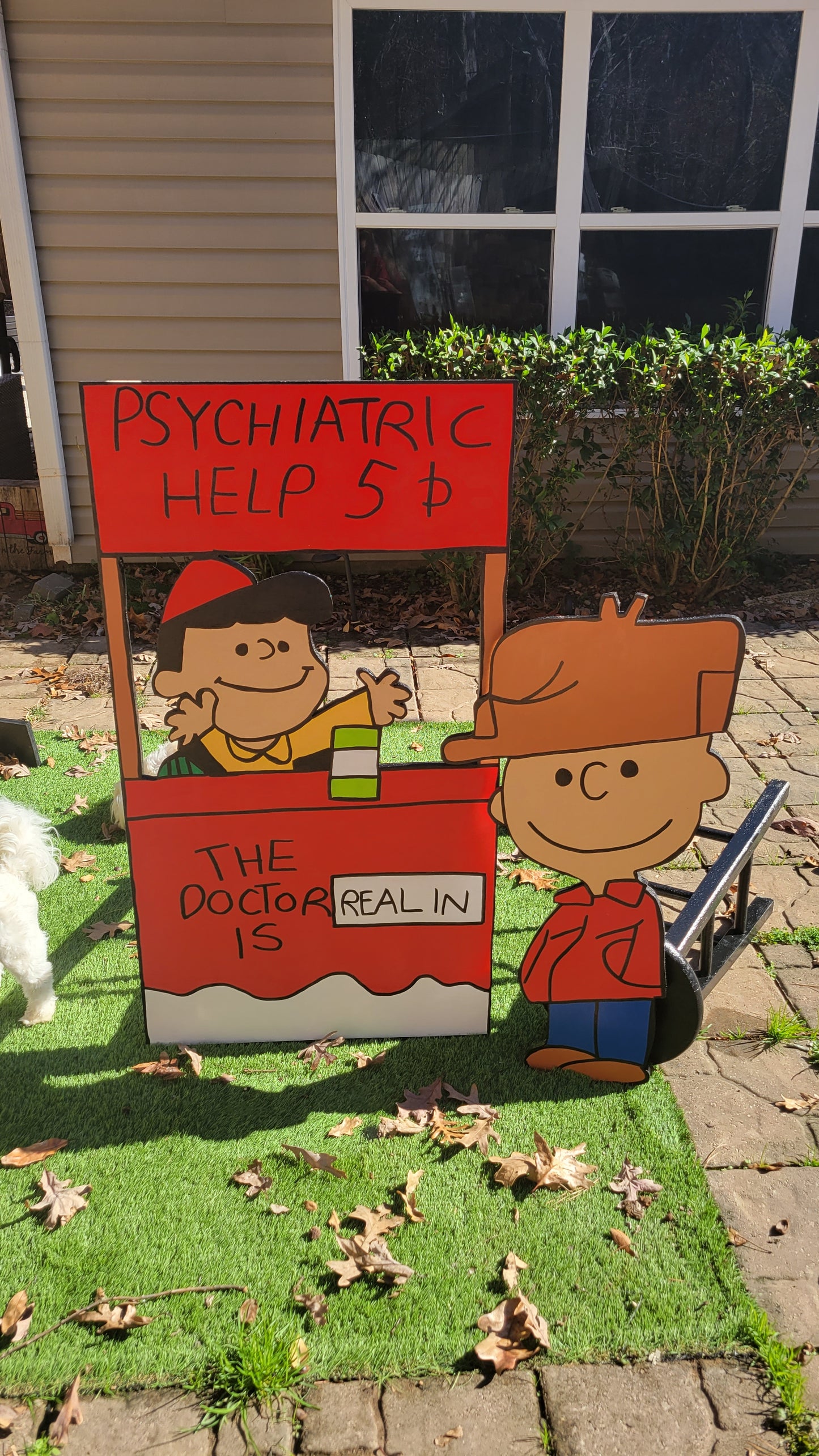 Lucy, the real doctor, is in with Charlie Brown